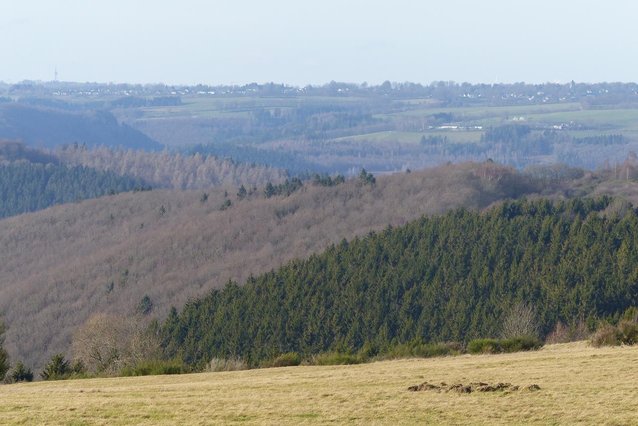 Chalets Am National Park Eifel Шляйден Екстер'єр фото